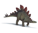 stegosaurus"